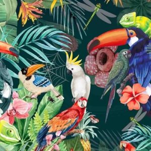 Birds and Animal Puzzles